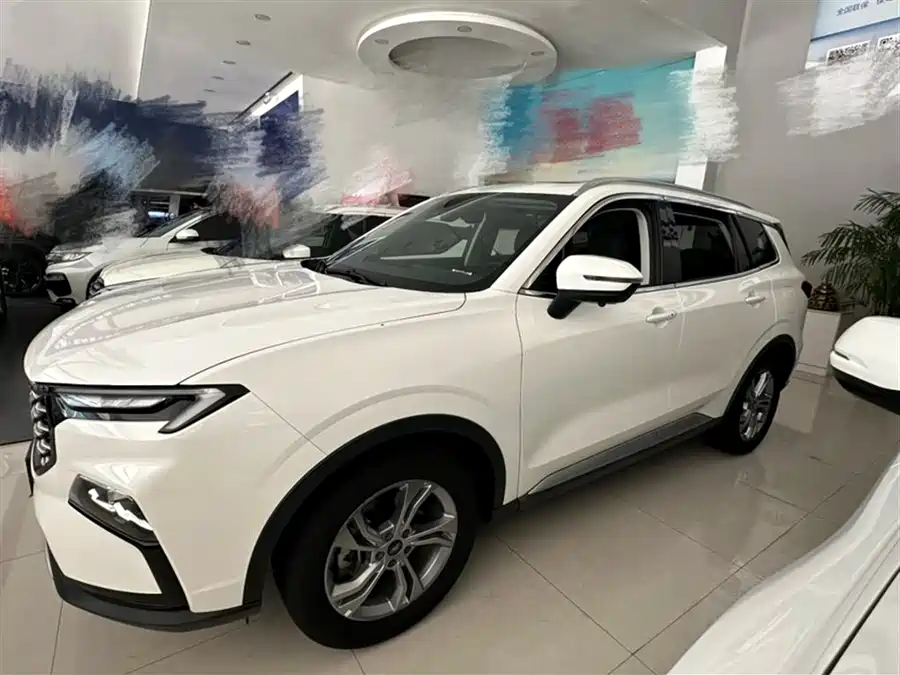 Ford EcoBoost - фото 11